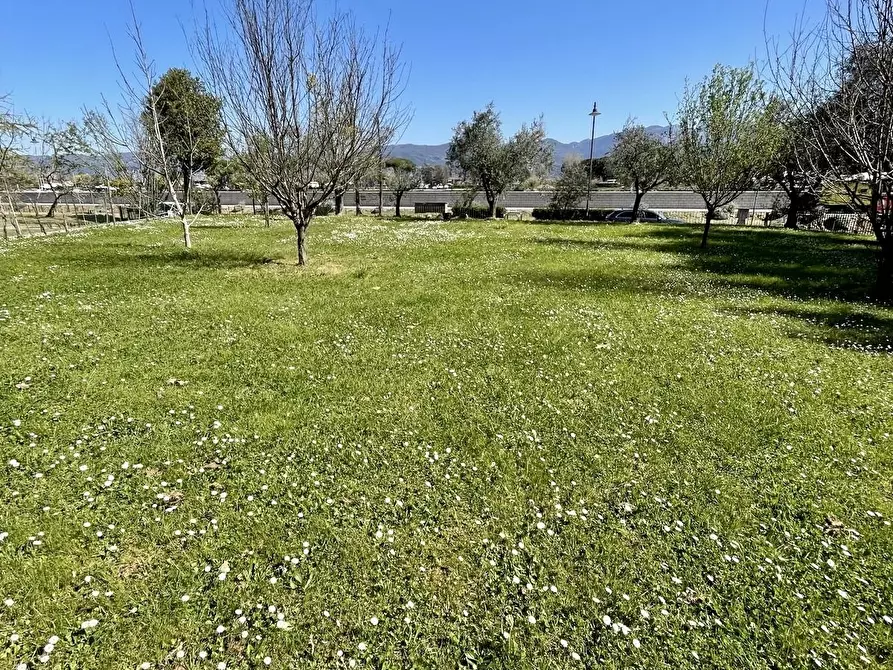 Immagine 22 di Casa semindipendente in vendita  a Ameglia