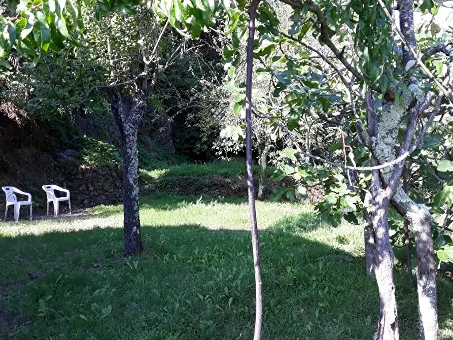 Immagine 3 di Casa indipendente in vendita  a Ameglia