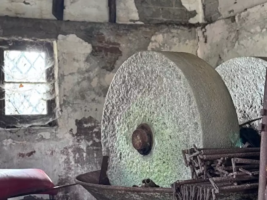 Immagine 19 di Casa trifamiliare in vendita  a Arcola