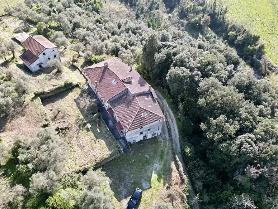 Immagine 2 di Villa in vendita  a Castelnuovo Magra