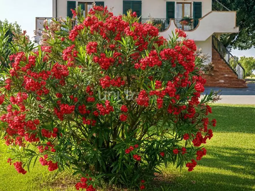 Immagine 3 di Casa indipendente in vendita  in Via Ponte Pio snc a Jesi