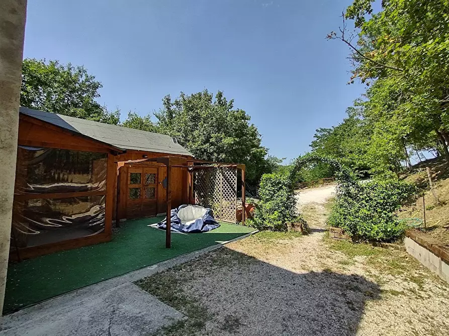 Immagine 28 di Casa indipendente in vendita  in Via Palazzi 8 a Cupramontana