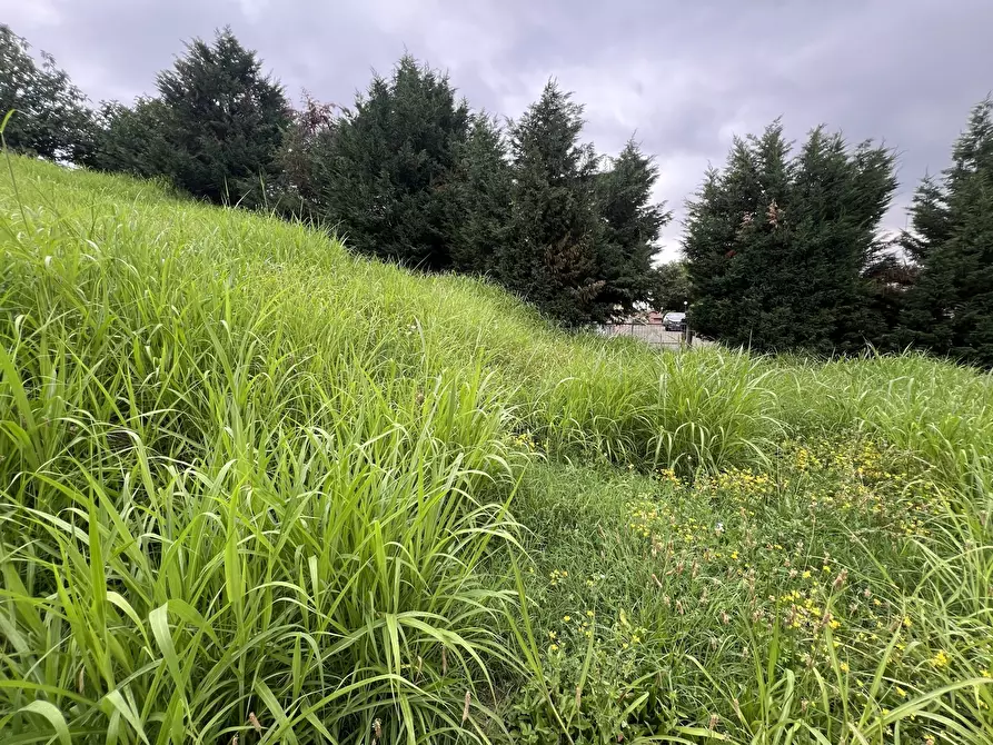 Immagine 14 di Terreno agricolo in vendita  in Via Stella a Valsamoggia