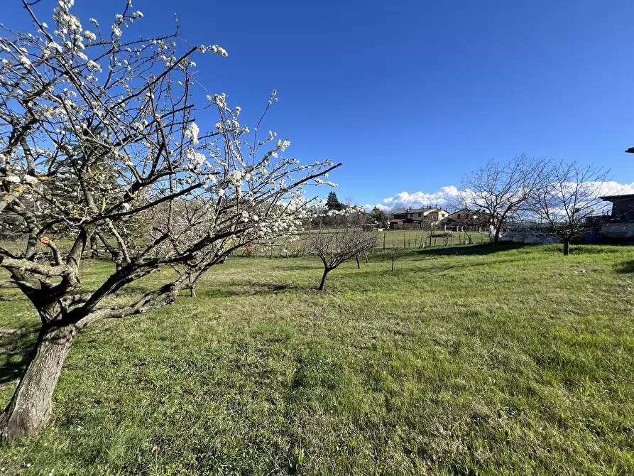 Immagine 1 di Terreno agricolo in vendita  in Via Tiola a Valsamoggia