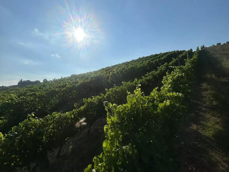 Immagine 17 di Porzione di casa in vendita  in Via Barlete a Valsamoggia