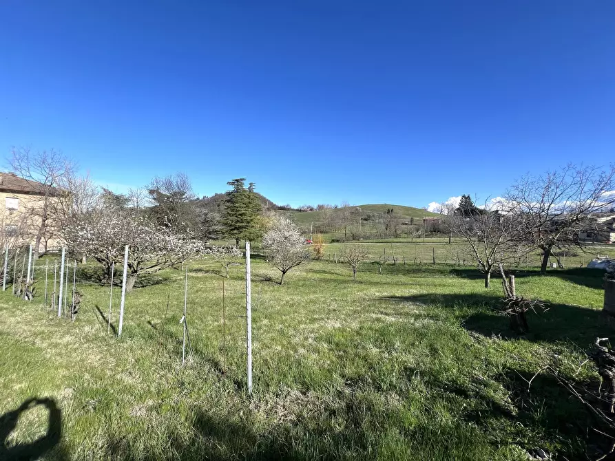 Immagine 4 di Terreno agricolo in vendita  in Via Tiola a Valsamoggia