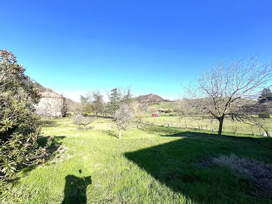 Immagine 7 di Terreno agricolo in vendita  in Via Tiola a Valsamoggia