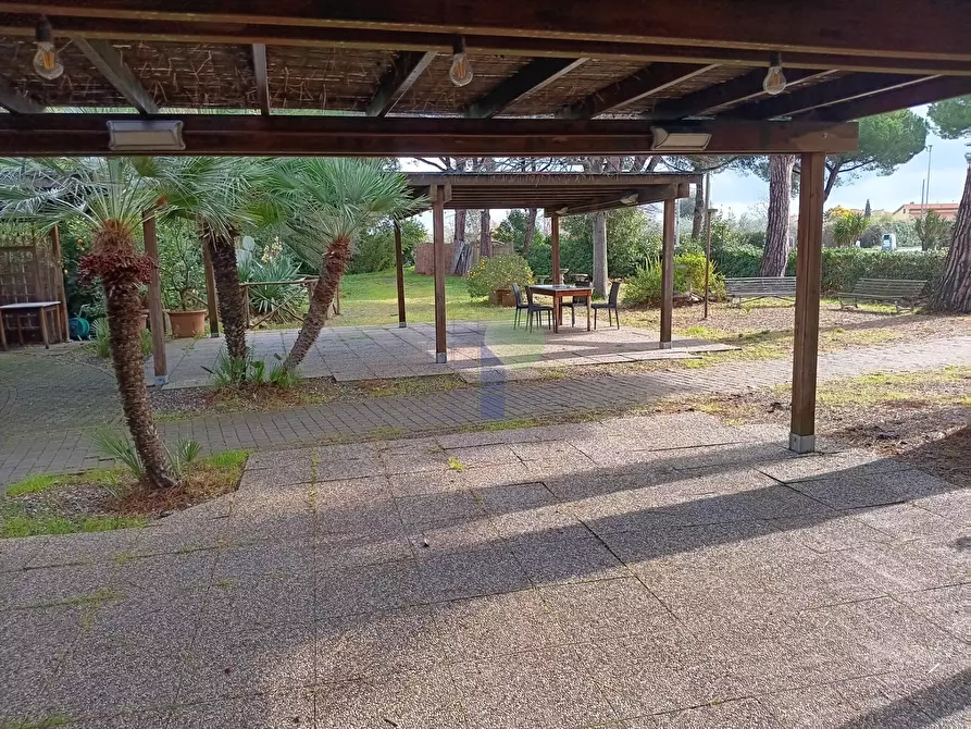 Immagine 5 di Bar / Ristorante in vendita  in Via Aurelia Nord a Cecina