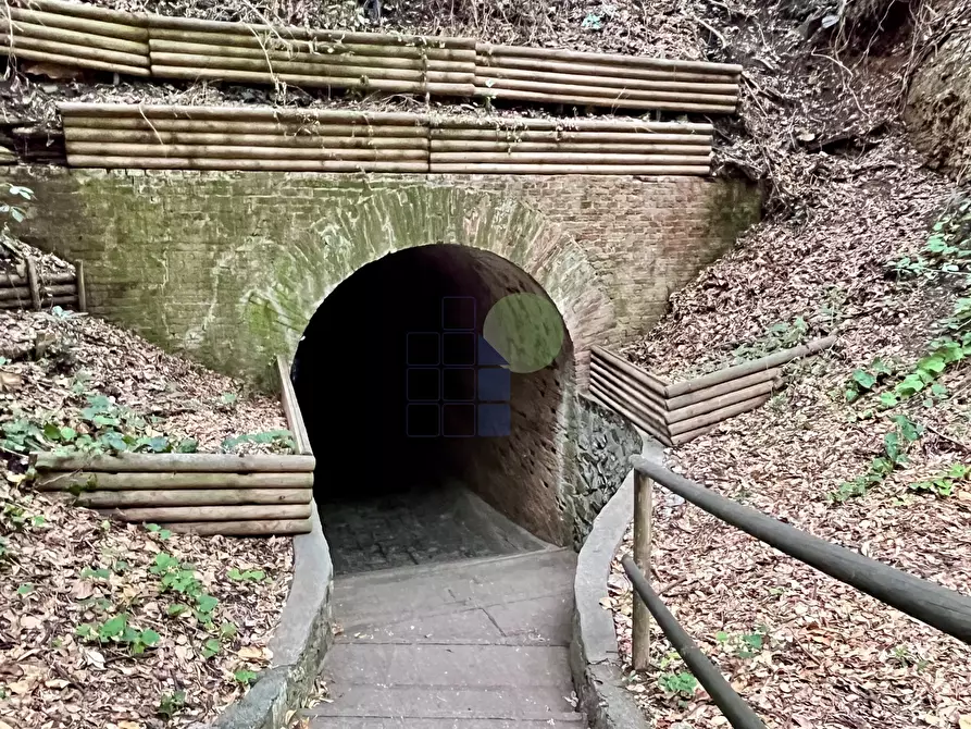 Immagine 13 di Appartamento in vendita  in Via Aurelia 820 a Rosignano Marittimo