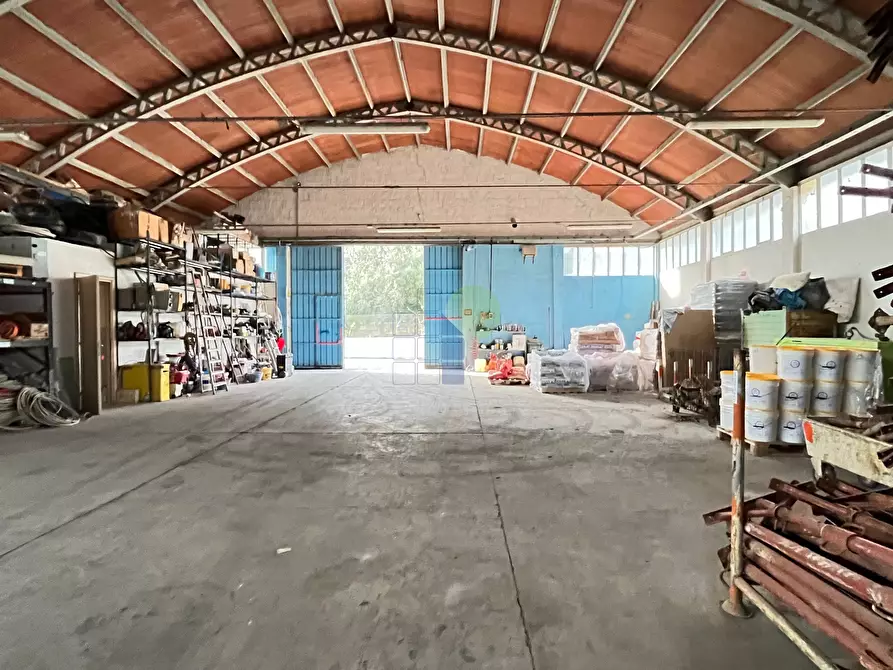 Immagine 3 di Attività artigianale in vendita  in Via di Poggio Gagliardo 11 a Montescudaio