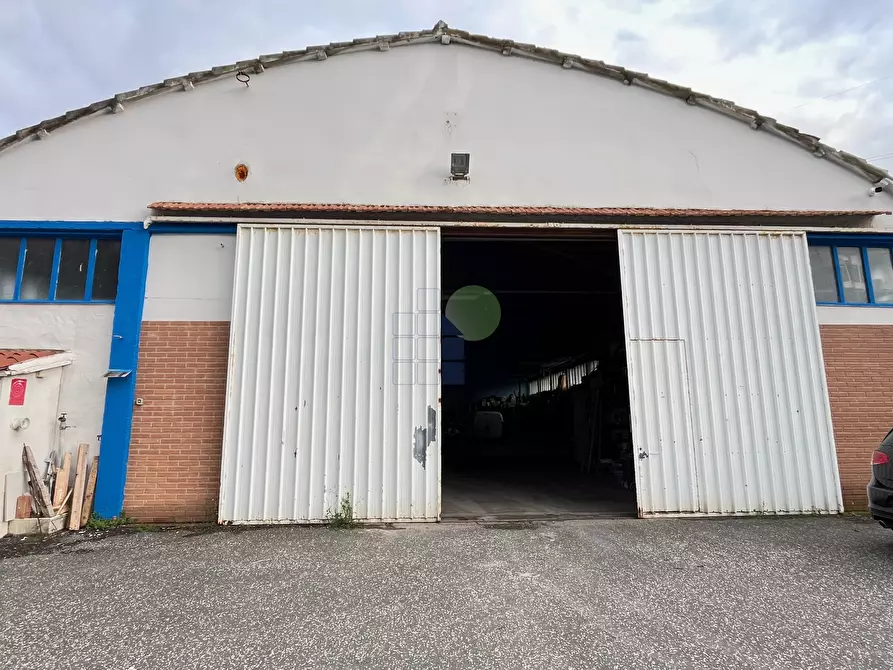 Immagine 5 di Attività artigianale in vendita  in Via di Poggio Gagliardo 11 a Montescudaio