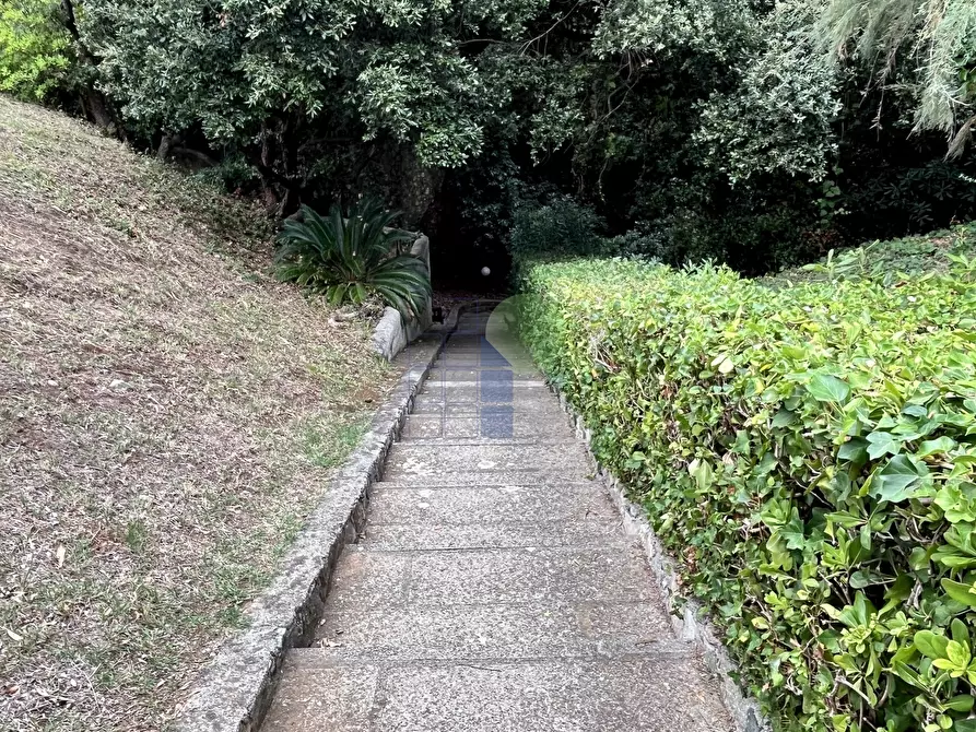 Immagine 26 di Appartamento in vendita  in Via Aurelia 820 a Rosignano Marittimo