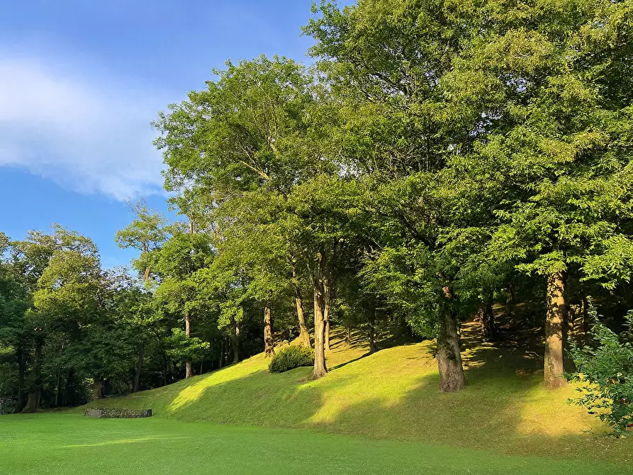 Immagine 44 di Villa in vendita  in Regione Cantarana 1 a Arona