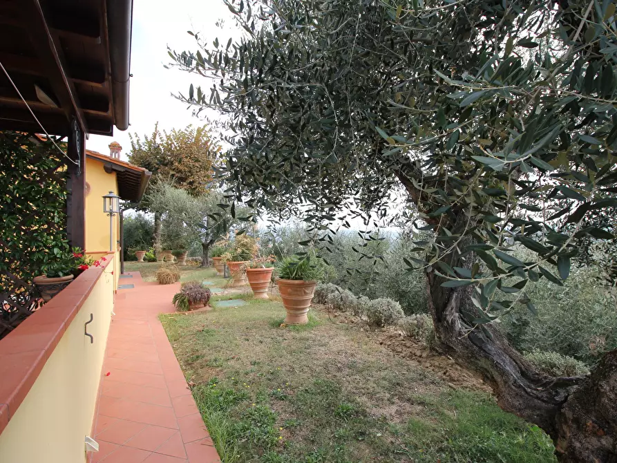 Immagine 46 di Villa in vendita  in via tortori a Montespertoli