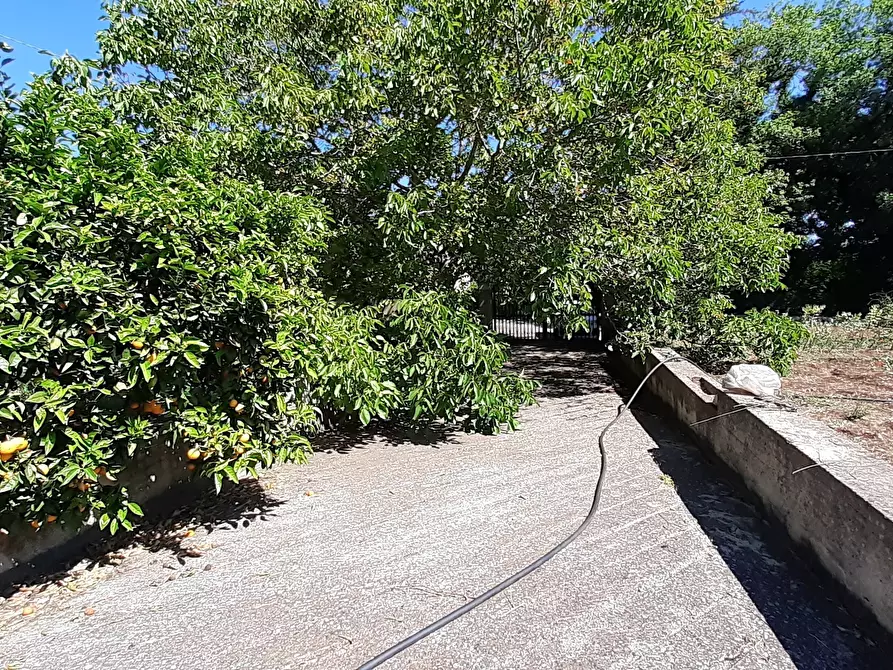 Immagine 24 di Rustico / casale in vendita  in Strada Provinciale 24 21 a Noto