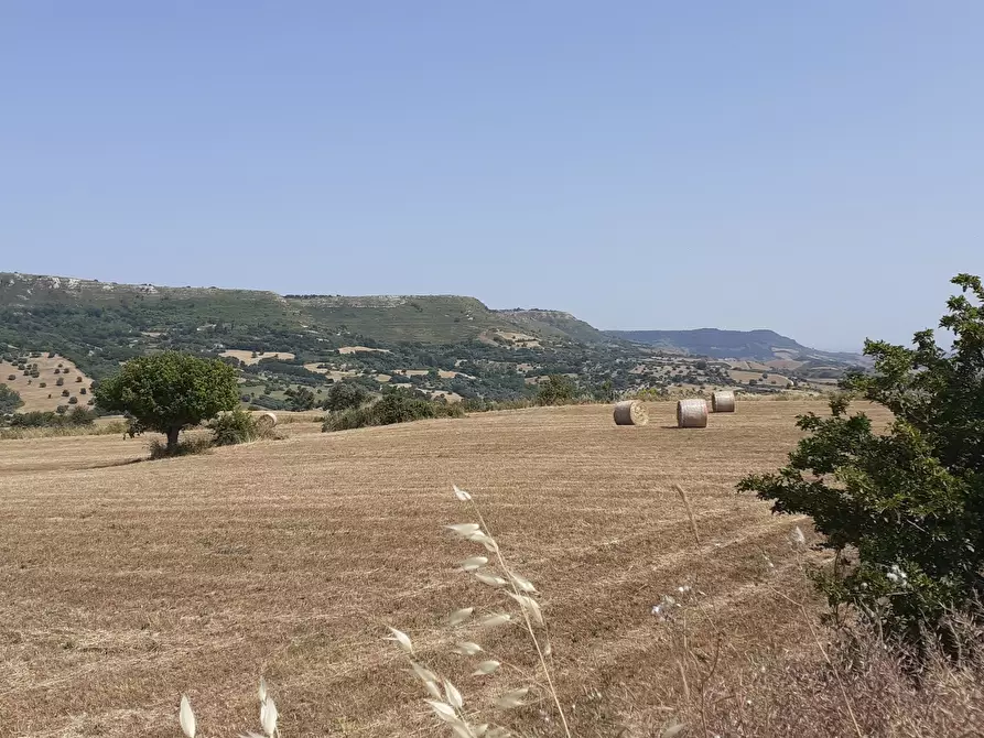 Immagine 33 di Terreno agricolo in vendita  in c.da Poi a Palazzolo Acreide