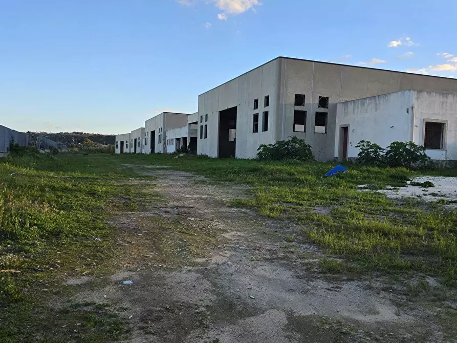 Immagine 6 di Capannone industriale in vendita  in Contrada Targia snc a Siracusa