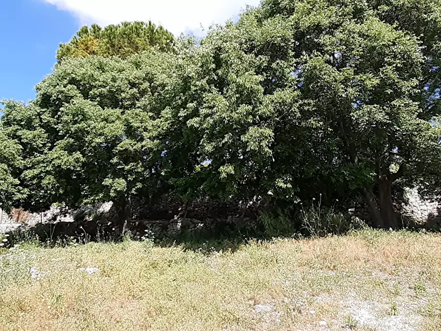 Immagine 10 di Terreno agricolo in vendita  in Strada Statale 287 a Noto