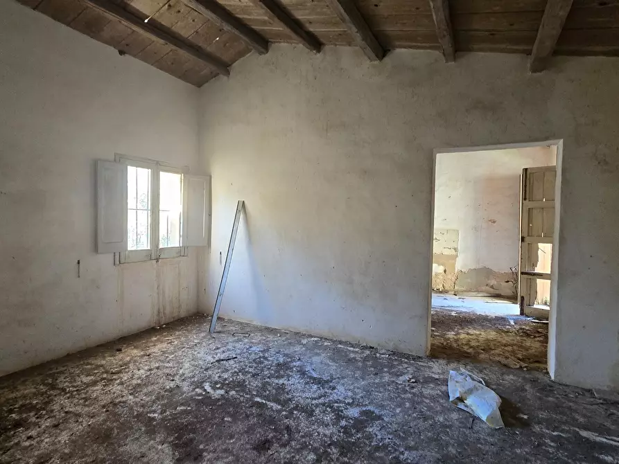 Immagine 19 di Terreno agricolo in vendita  in C.DA CUGNI SNC a Siracusa