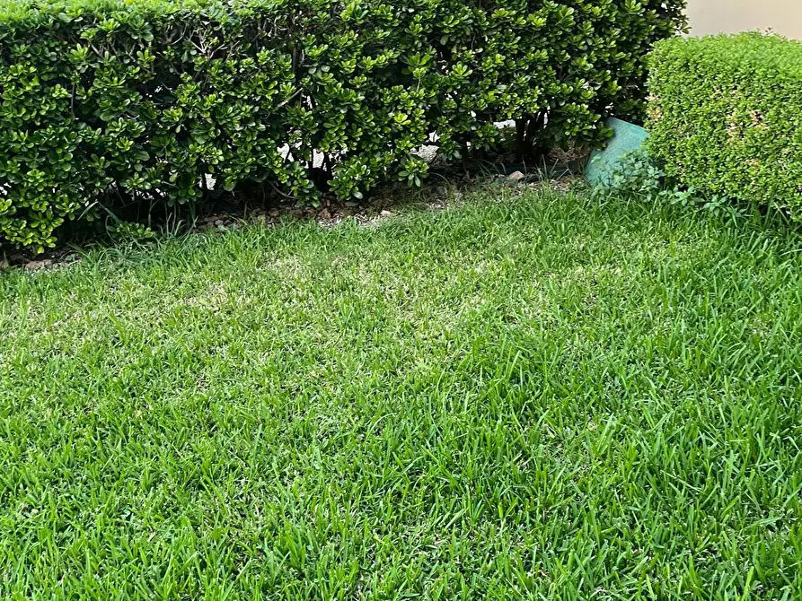 Immagine 18 di Villa in vendita  in Via Lago di Como a Siracusa