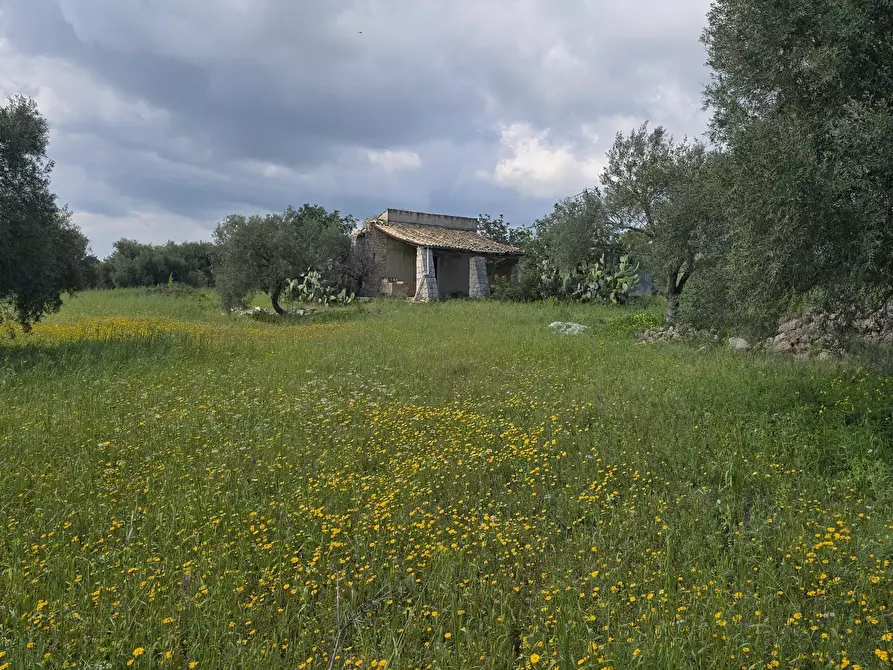 Immagine 24 di Villa in vendita  in Cavasecca a Canicattini Bagni