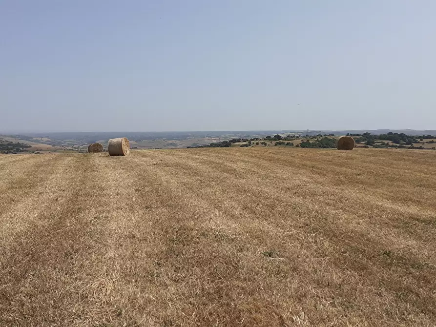Immagine 38 di Terreno agricolo in vendita  in c.da Poi a Palazzolo Acreide