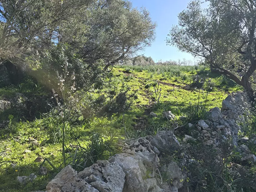 Immagine 8 di Terreno agricolo in vendita  in C.DA CUGNI SNC a Siracusa