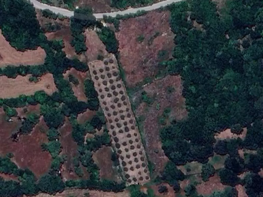 Immagine 30 di Terreno agricolo in vendita  in contrada Santa Lucia di Mendola a Noto