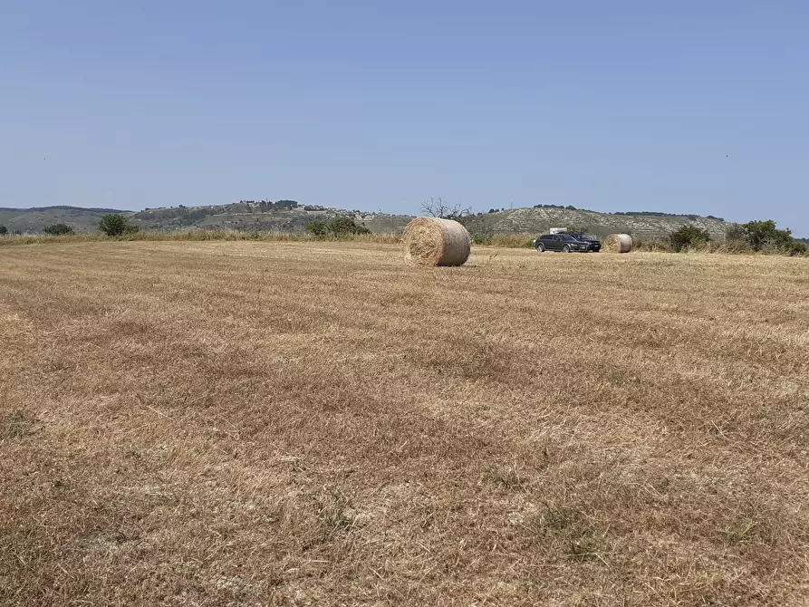 Immagine 48 di Rustico / casale in vendita  in c.da Poi a Palazzolo Acreide