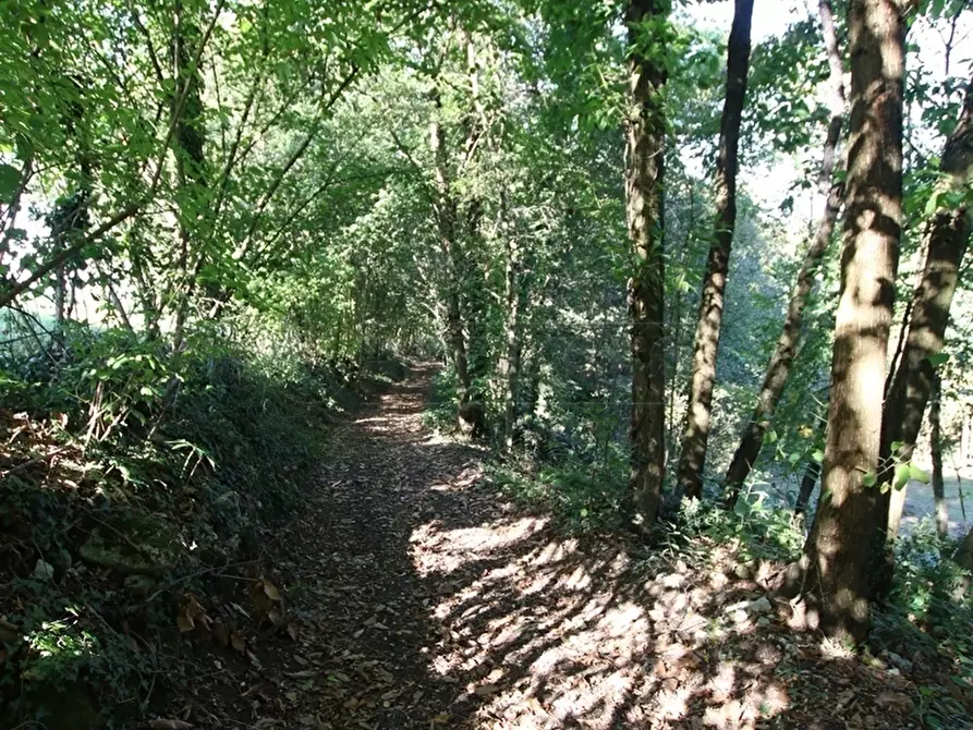 Immagine 24 di Terreno agricolo in vendita  a Arcugnano