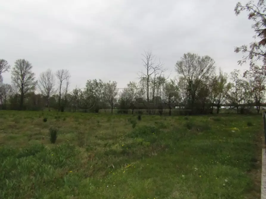 Immagine 3 di Terreno agricolo in vendita  a Santa Giustina In Colle