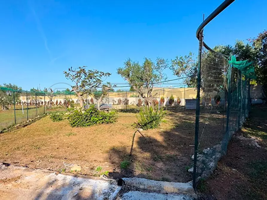 Immagine 6 di Terreno agricolo in vendita  in Via Stefano Catalano 5 a Gallipoli