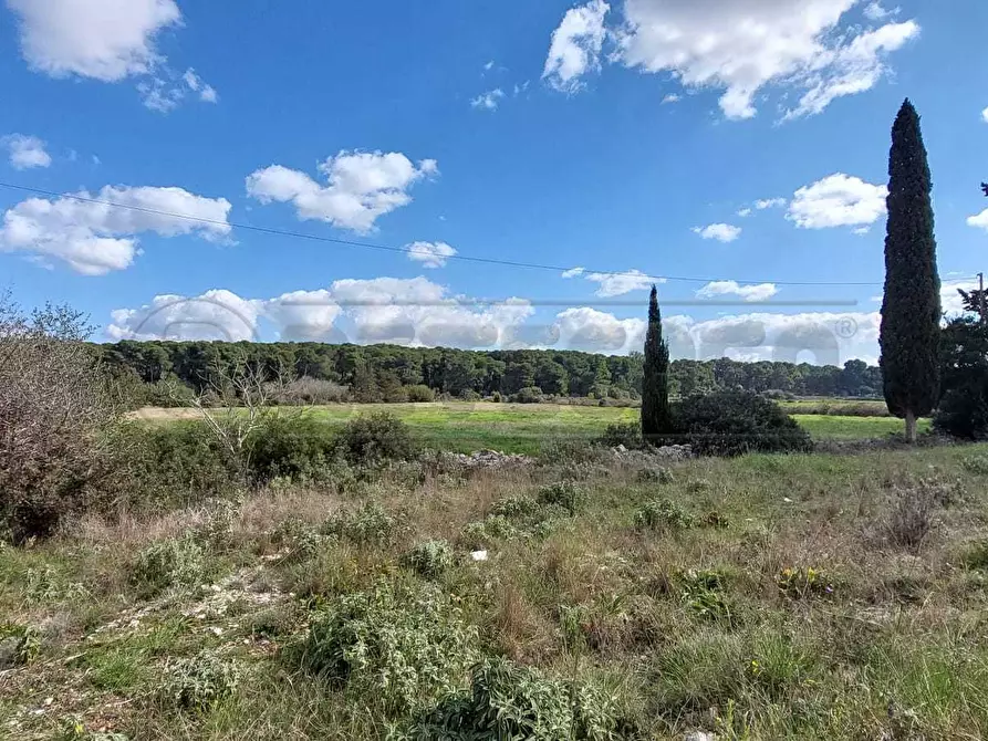 Immagine 9 di Villa in vendita  in Contrada Luci a Maglie