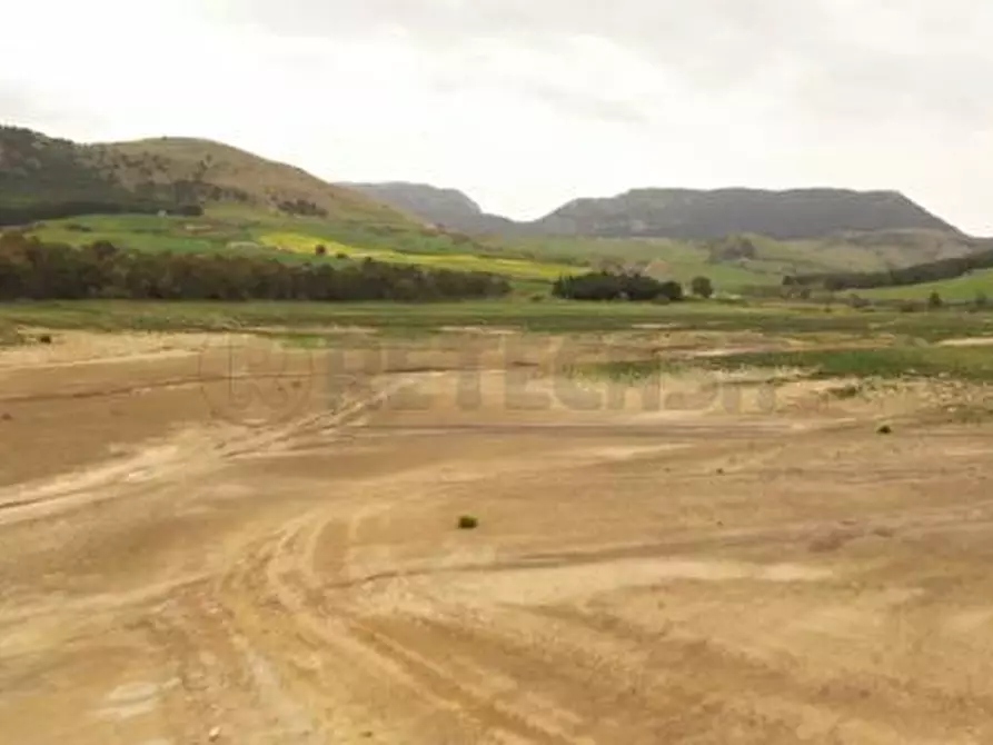 Immagine 1 di Terreno agricolo in vendita  a Castelvetrano