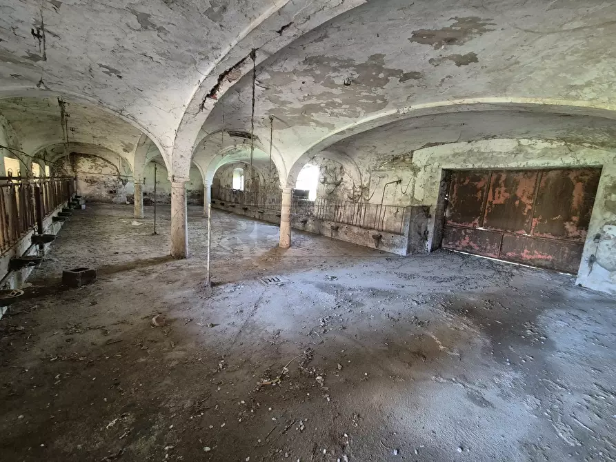 Immagine 10 di Rustico / casale in vendita  in Località Menabue a Gabbioneta Binanuova