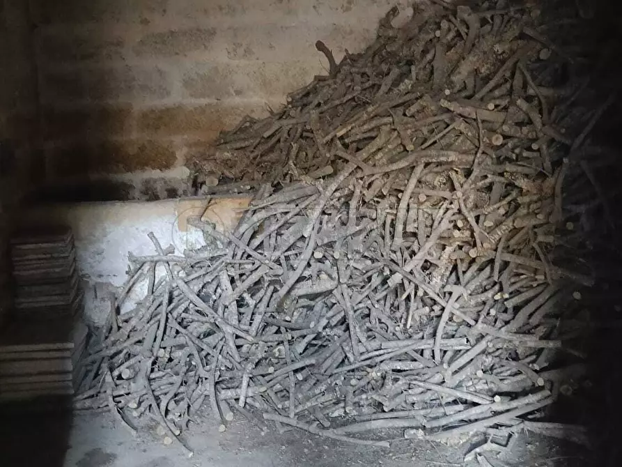 Immagine 7 di Casa indipendente in vendita  in Via Abate 1 a Scorrano