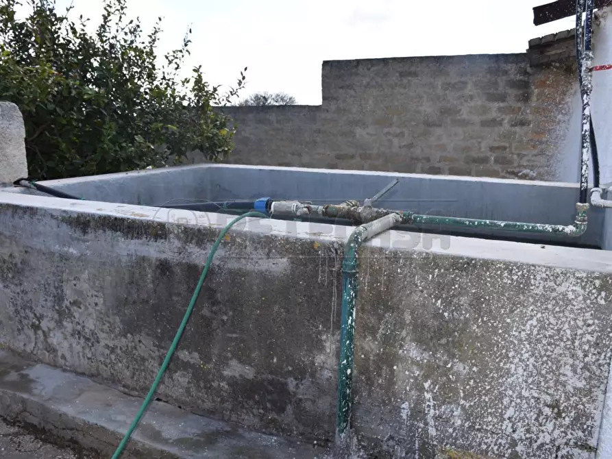Immagine 13 di Rustico / casale in vendita  in contrada Bianca a Mazara Del Vallo