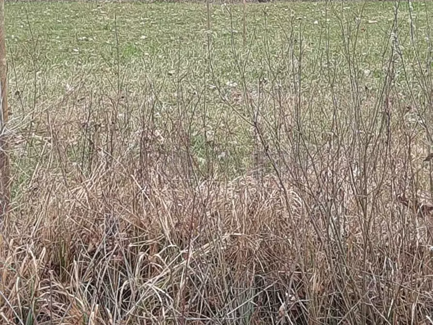 Immagine 14 di Terreno agricolo in vendita  a Arcugnano