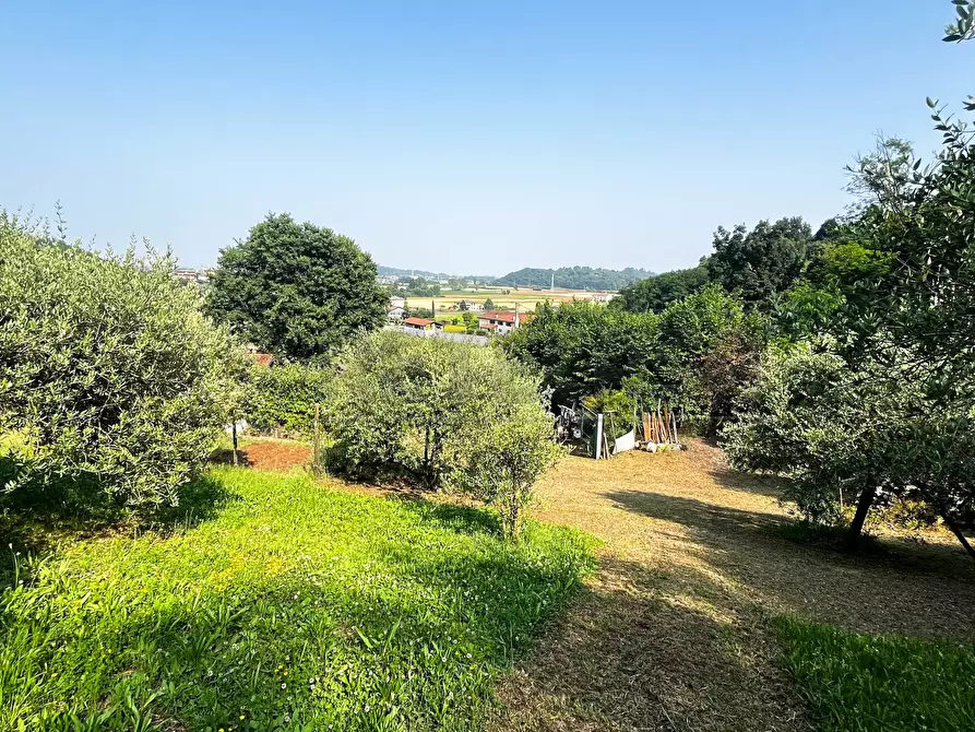 Immagine 12 di Terreno agricolo in vendita  in Via Bazziola a Monteviale
