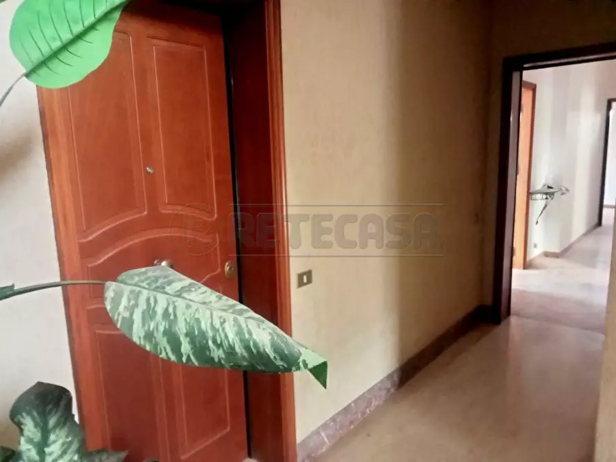 Immagine 3 di Appartamento in vendita  a Castelvetrano
