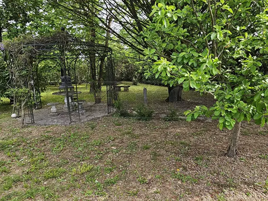 Immagine 64 di Villa in vendita  a Mirano