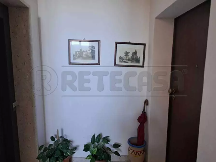 Immagine 29 di Appartamento in vendita  in via trapani 75 a Marsala