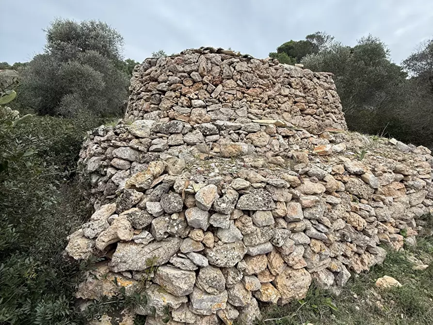 Immagine 14 di Casa indipendente in vendita  in SP286 102 a Nardo'