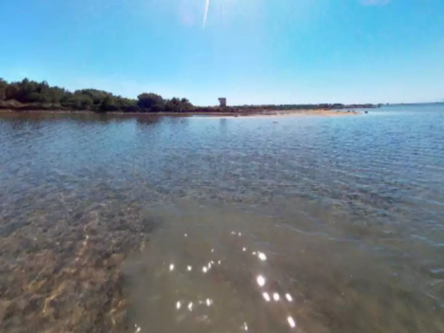 Immagine 11 di Villa in vendita  a Marsala