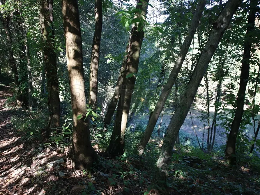 Immagine 22 di Terreno agricolo in vendita  a Arcugnano