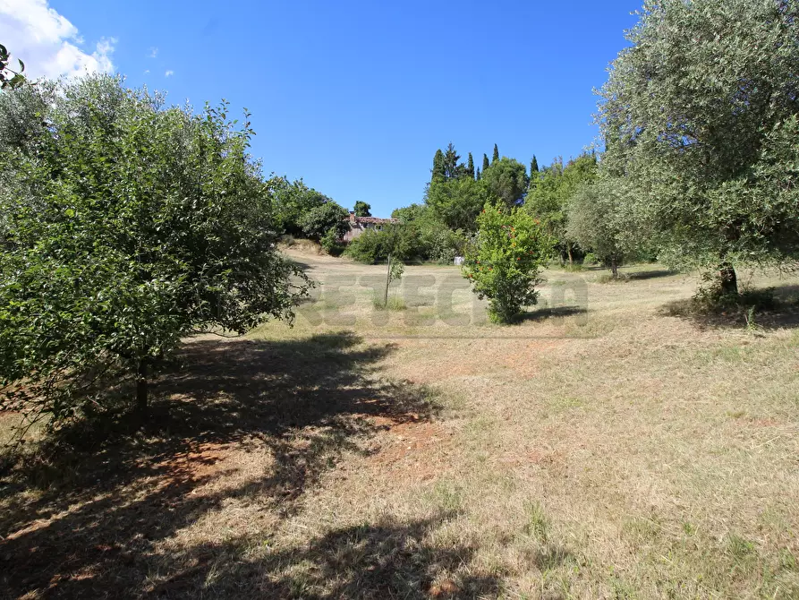 Immagine 7 di Rustico / casale in vendita  in Via Arcisi 8 a Val Liona