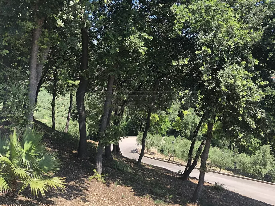 Immagine 12 di Villa in vendita  a Francavilla Al Mare