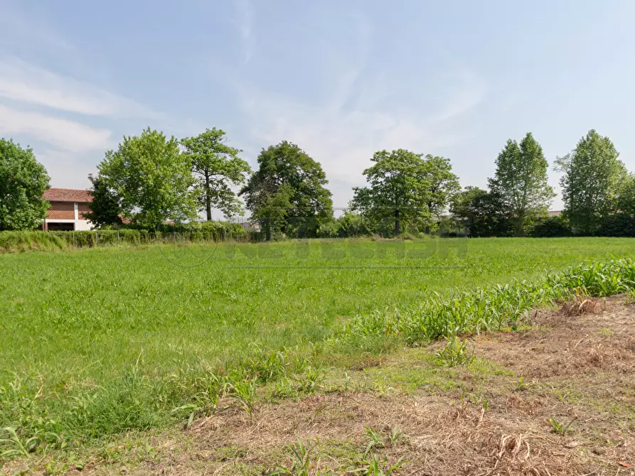 Immagine 7 di Terreno edificabile in vendita  in Via Bassanese 24 a Pozzoleone