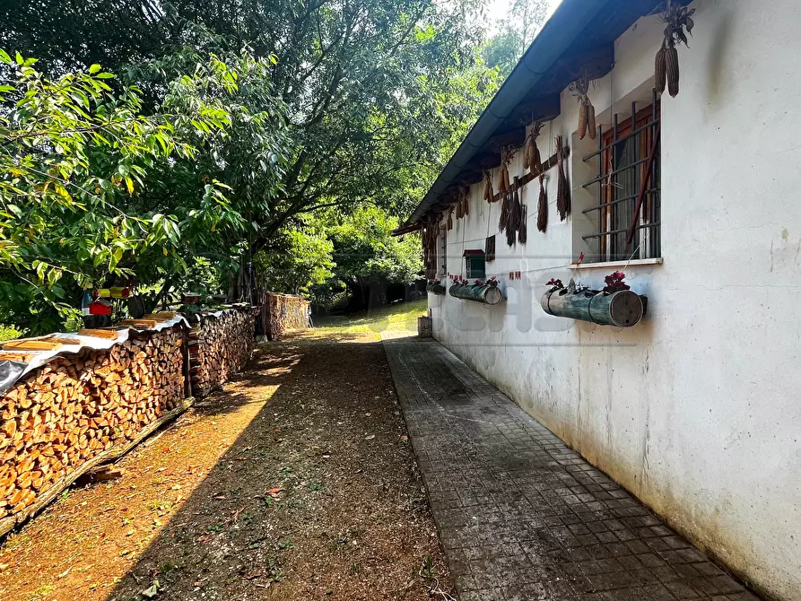 Immagine 5 di Terreno agricolo in vendita  in Via Bazziola a Monteviale