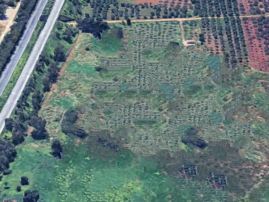 Immagine 1 di Terreno agricolo in vendita  a Castelvetrano